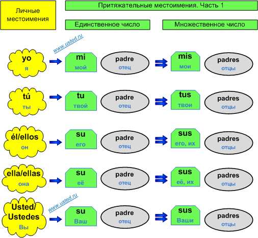 Узнайте, как использовать выражение 